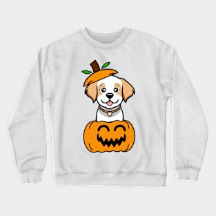 Funny Happy Dog is in a pumpkin Crewneck Sweatshirt